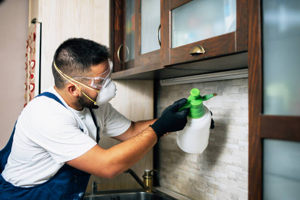 Professional Pest Control in Whiteville, NC