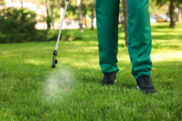 Best Pest Control Near Me in Whiteville, NC