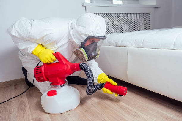 Best Flea Control Services  in Whiteville, NC
