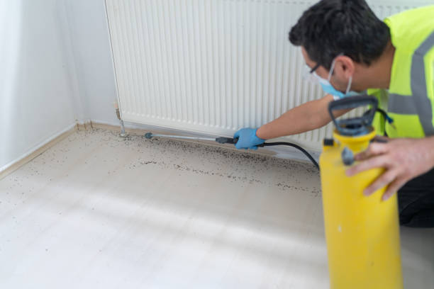 Best Pest Control Near Me  in Whiteville, NC